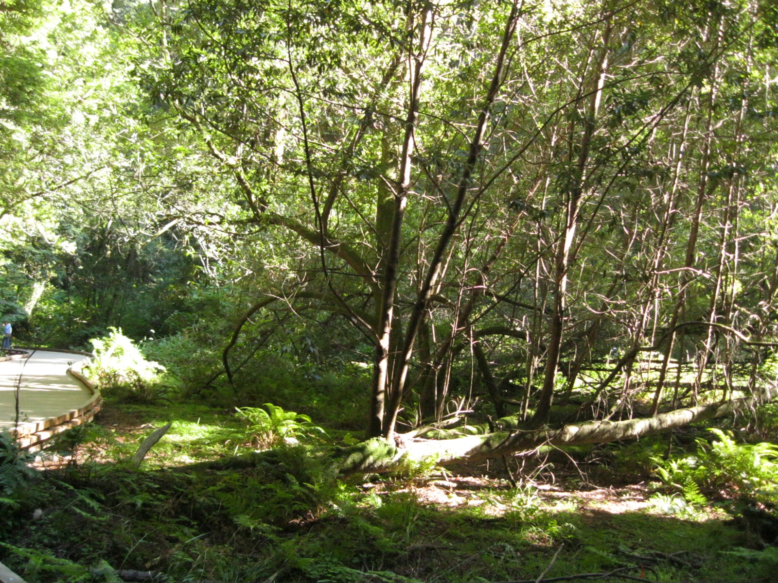 Original_img_2486