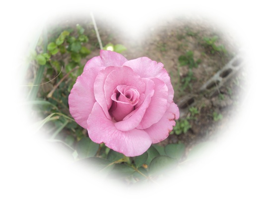 Original_dsc07158