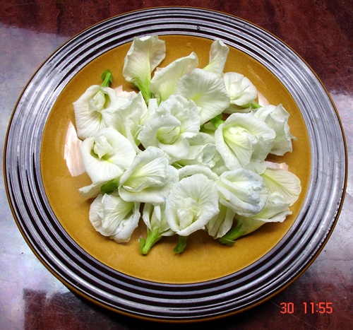 Original_dsc03555