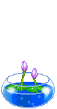Original_graphicflower12