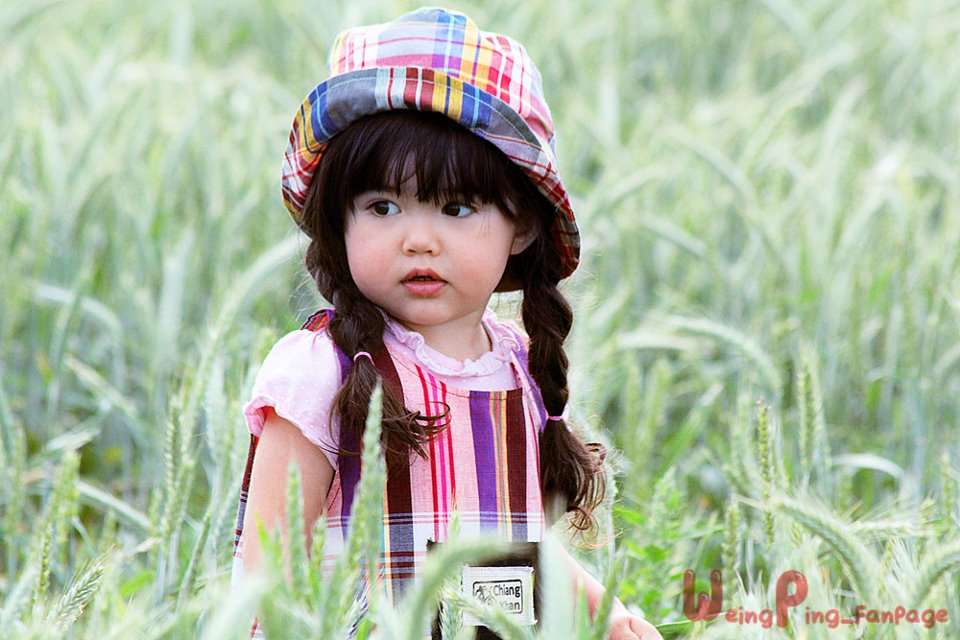 Original_p14696_1