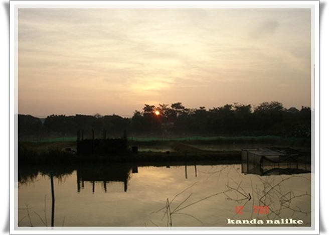Original_dsc03894