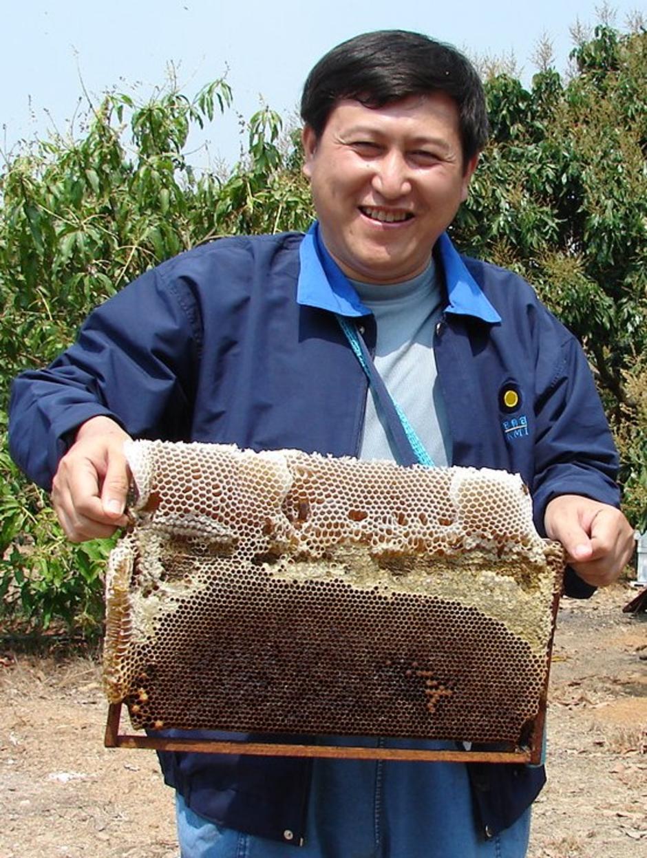 beekeeping beeman