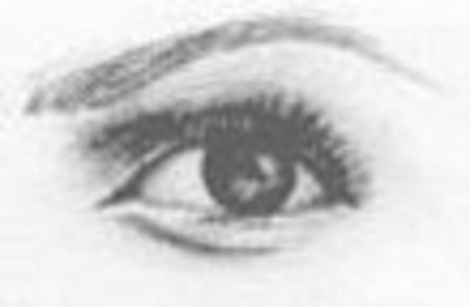 Shared Vision