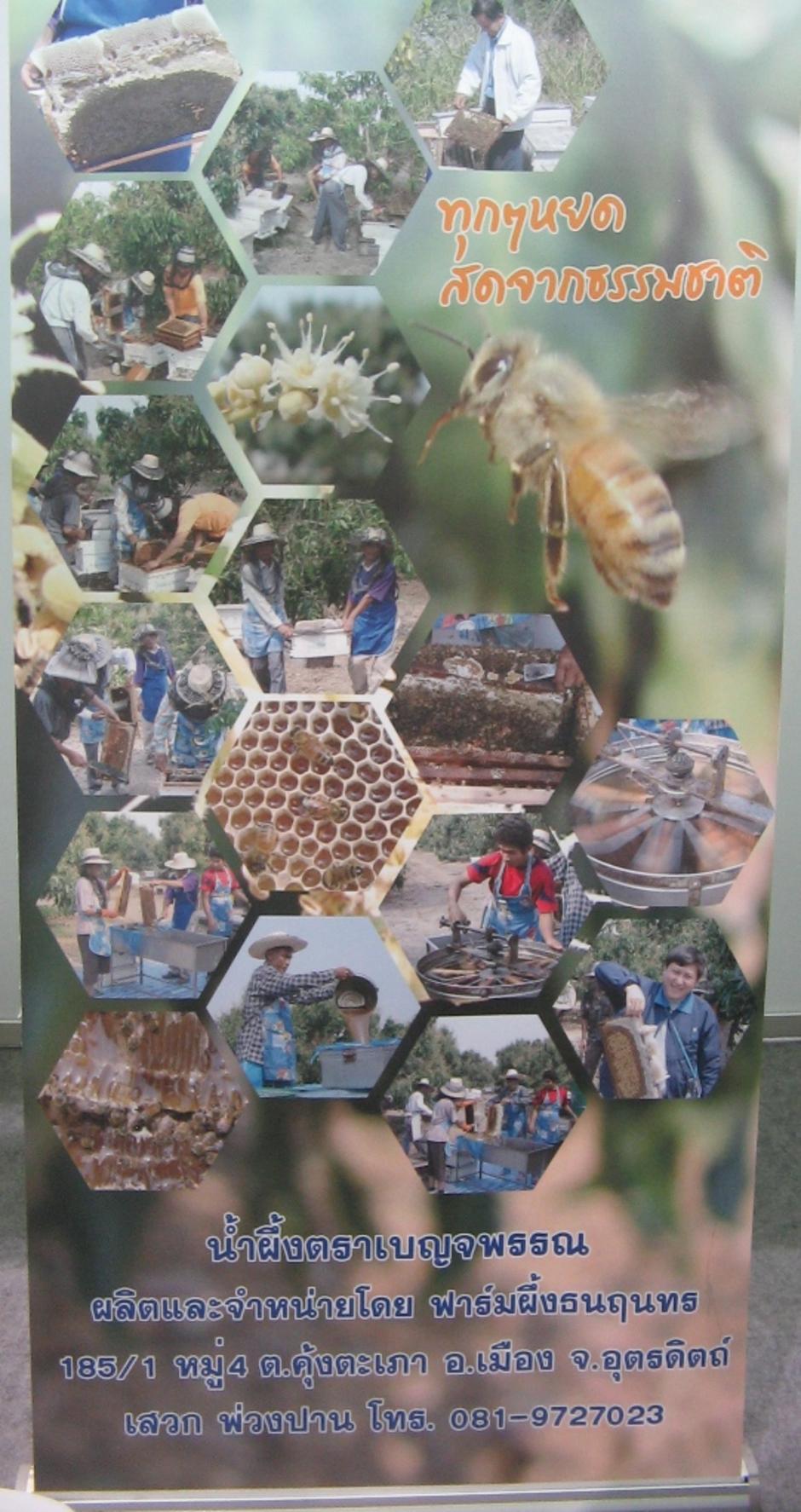การเลี้ยงผึ้งเพื่อผลิตน้ำผึ้ง