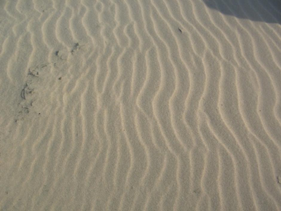 หาดทราย คลื่นทราย