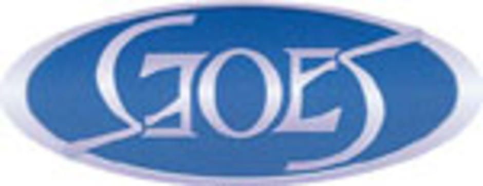 ambigram - GOES Logo