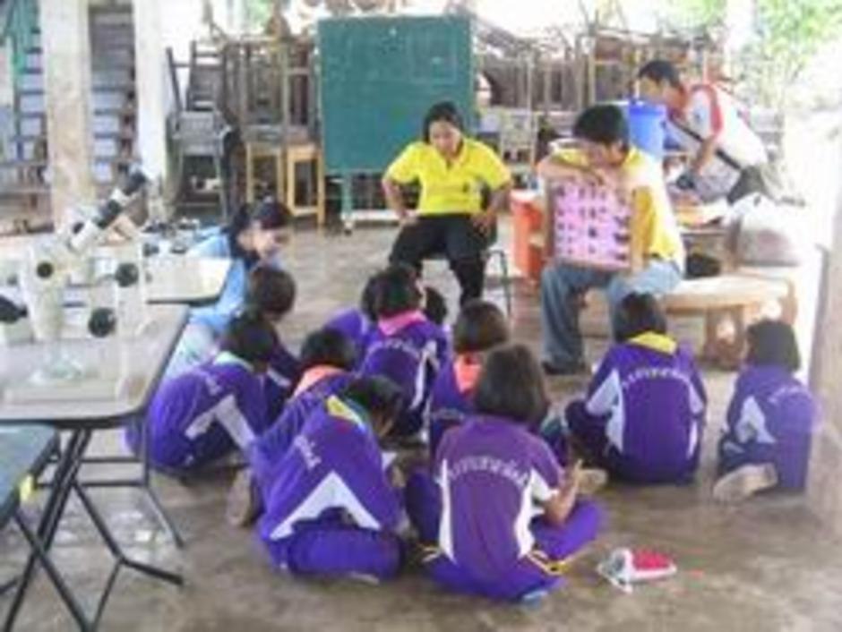 ฐานนิเวศวิทยาและแมลง