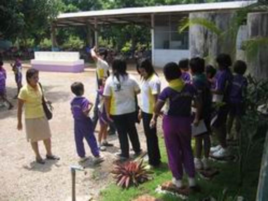 สำรวจพืชใกล้ตัว