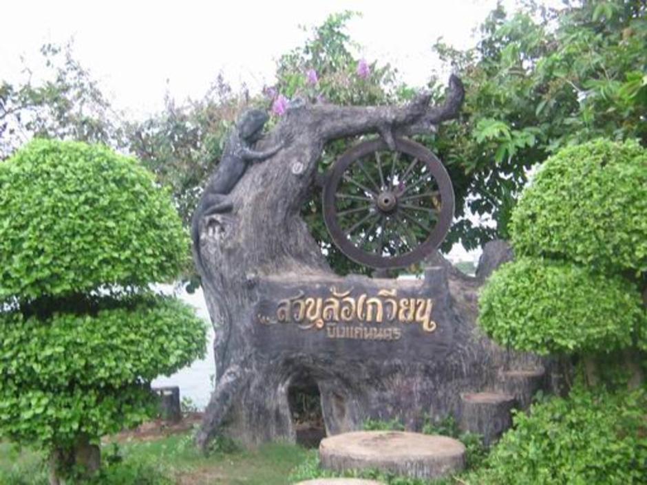 สวนล้อเกวียน : ภาพนี้กิ้งก่าโผล่ให้เห็นเต็มตัว