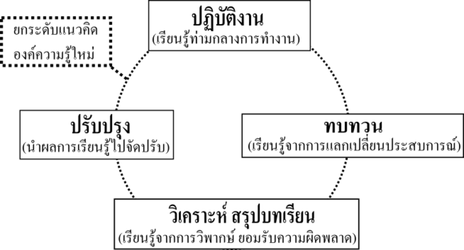 pl1 pl1