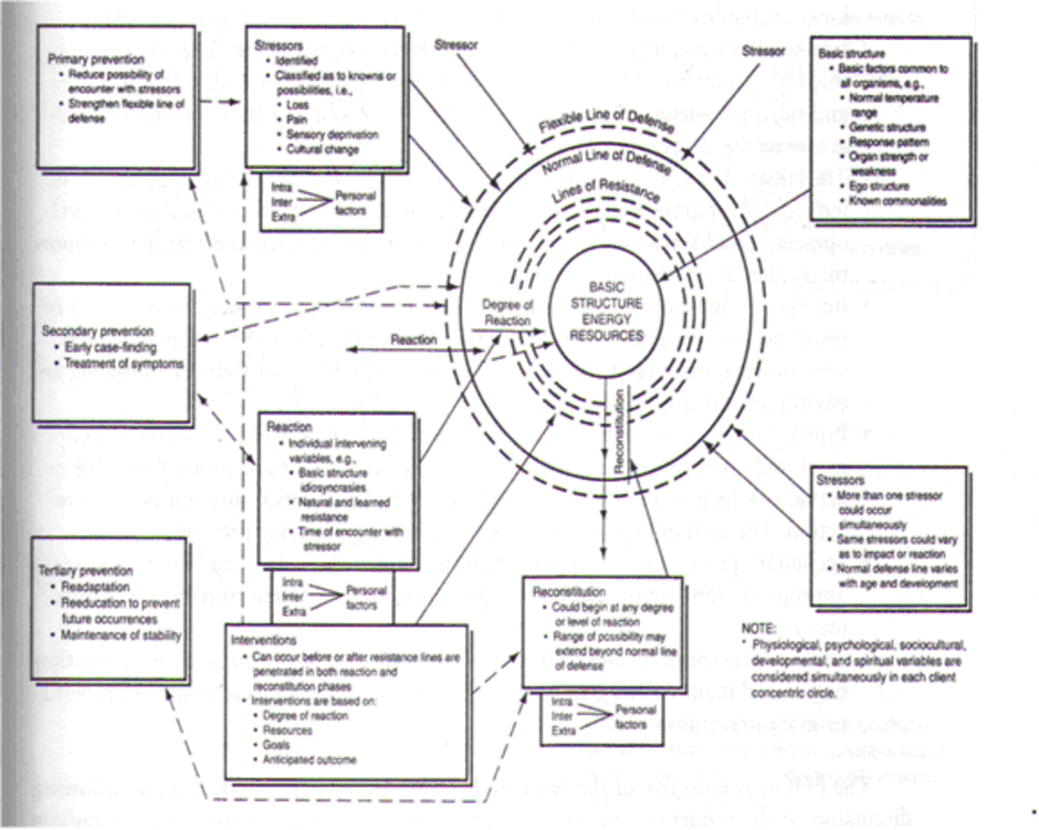 Betty Neuman s Systems Model