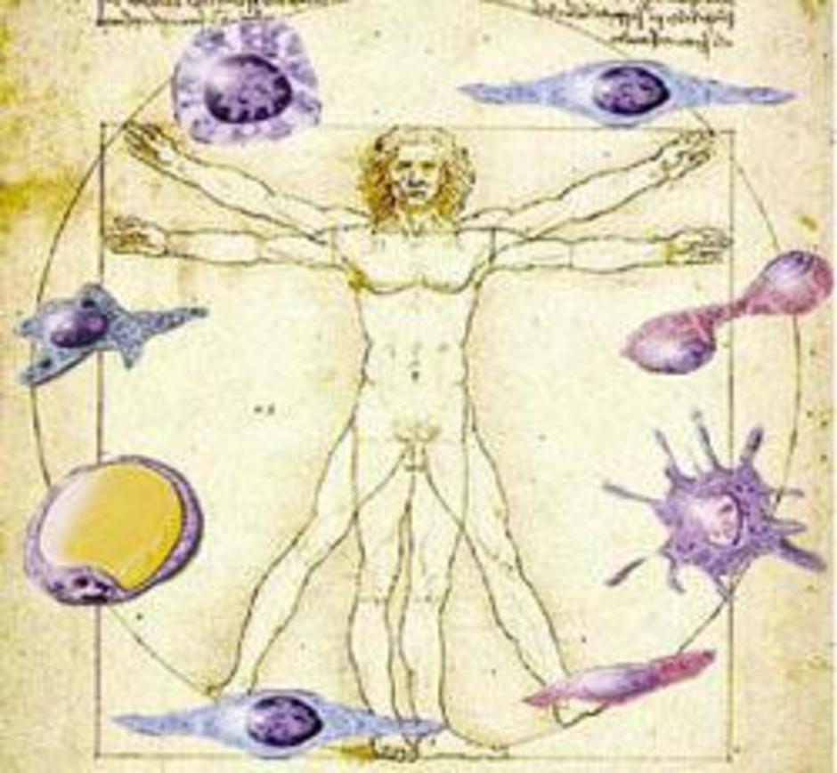 stemcell 1