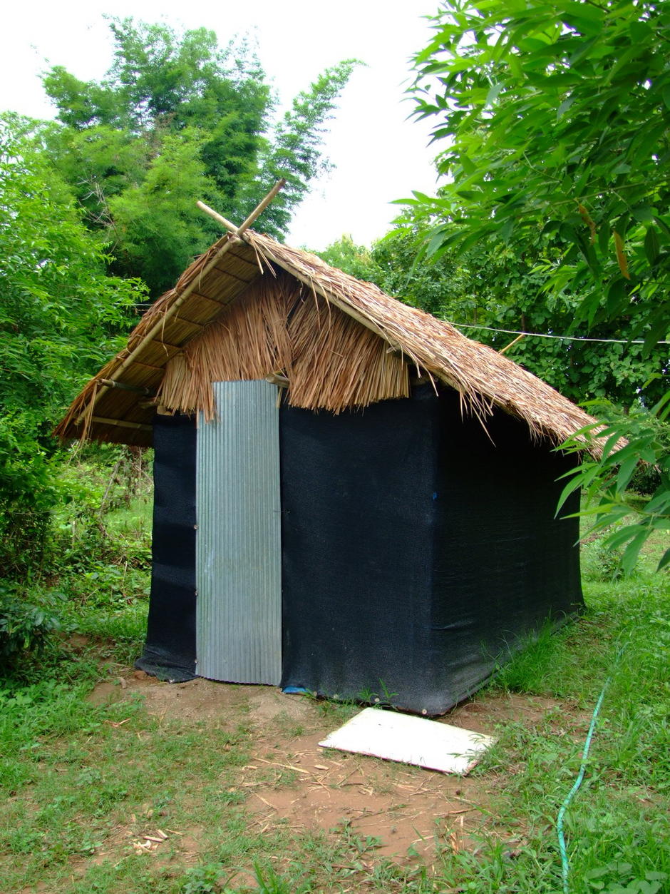 Muchroom House