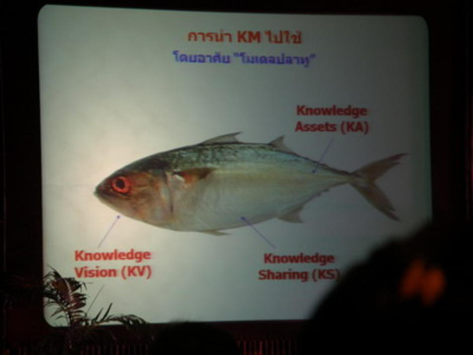 KM model ปลาทู