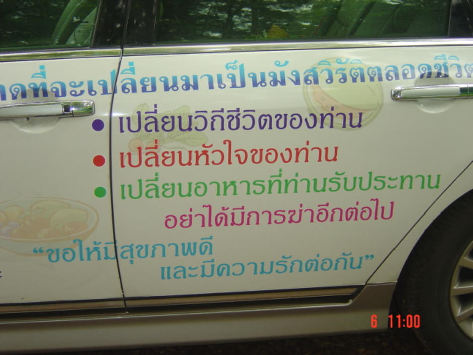 มังสวิรัติ