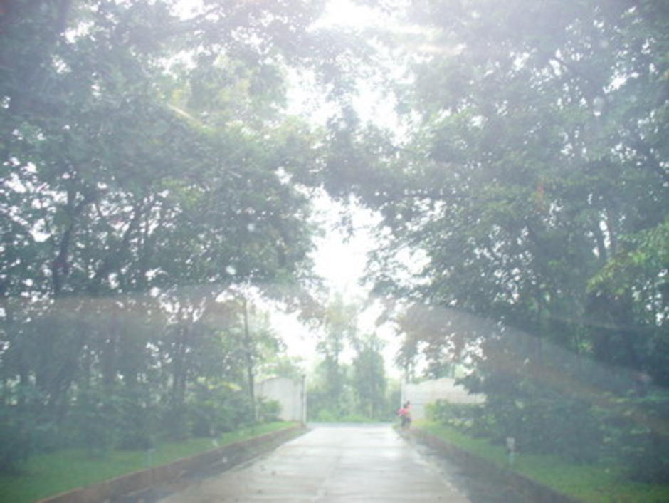 ในม่านหมอก