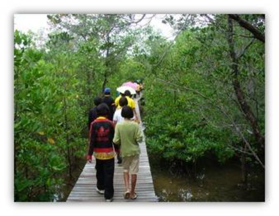 ทางเดินศึกษาธรรมชาติ ทางเดินศึกษาธรรมชาติ