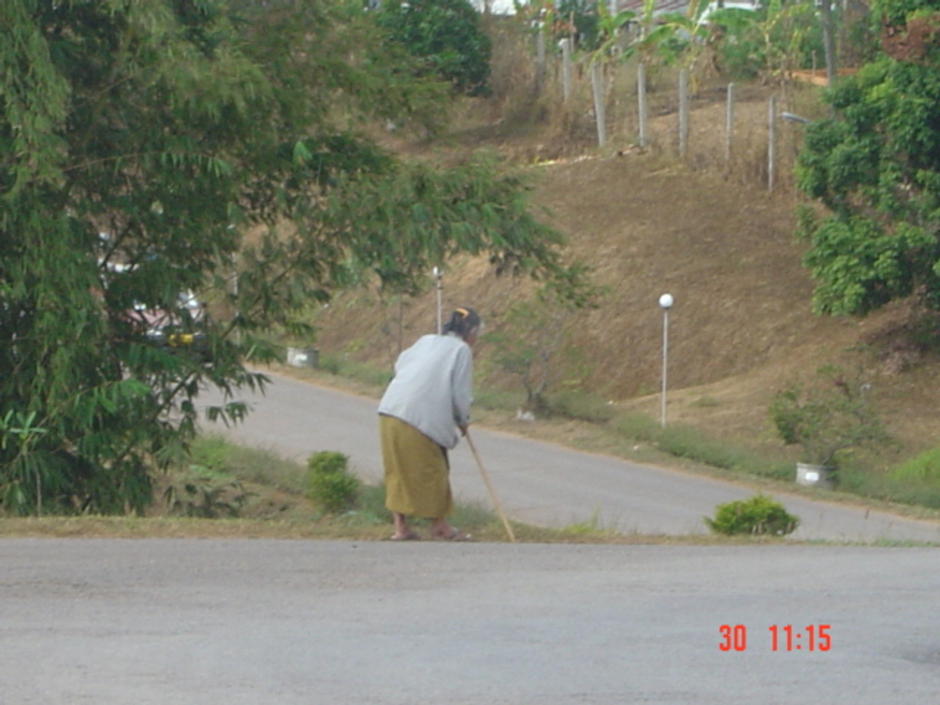 ชีวิต