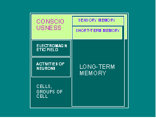Structure of Mind and Structure of Memory