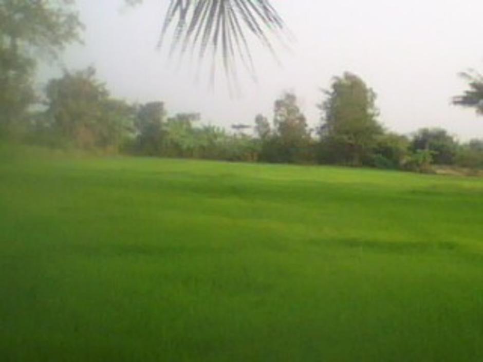 http://gotoknow.org/file/nongji/IMG0739A.jpg