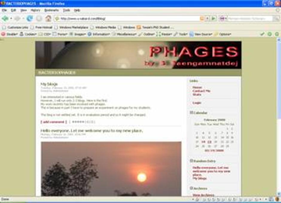 My phage blog