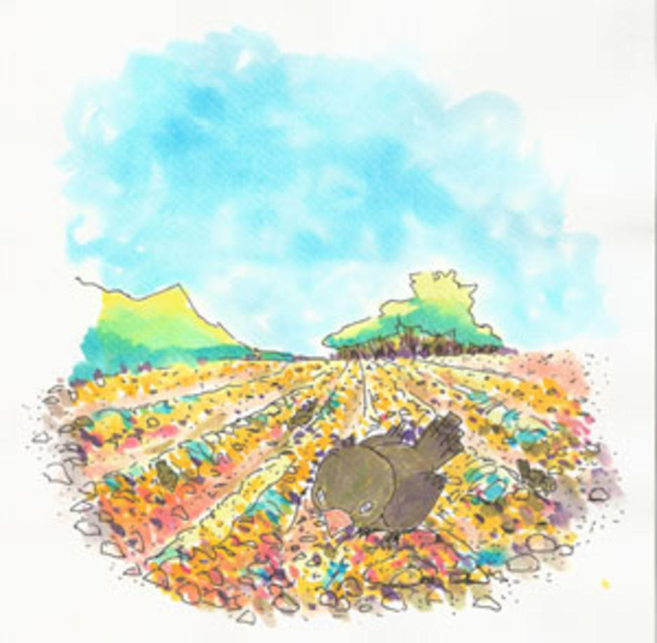 Cpm answer key course 2 image