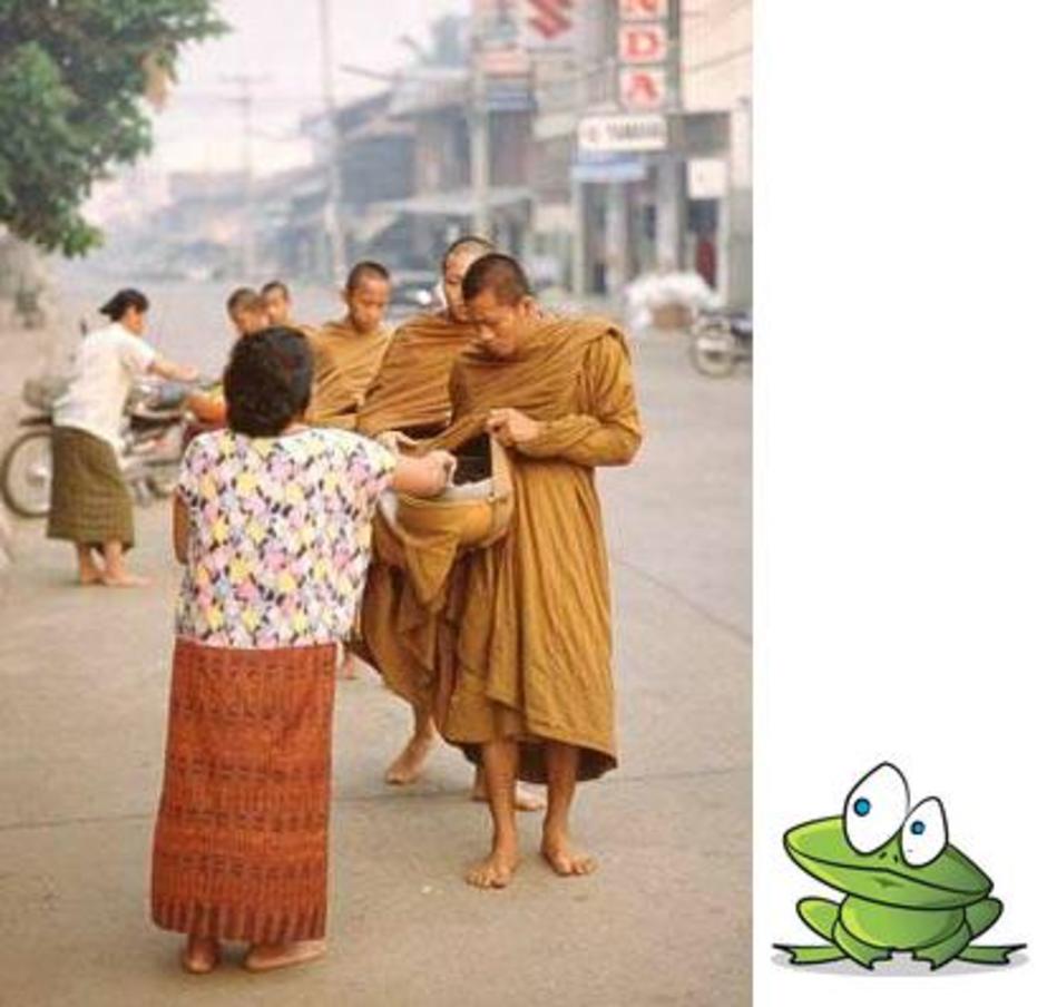 frog1