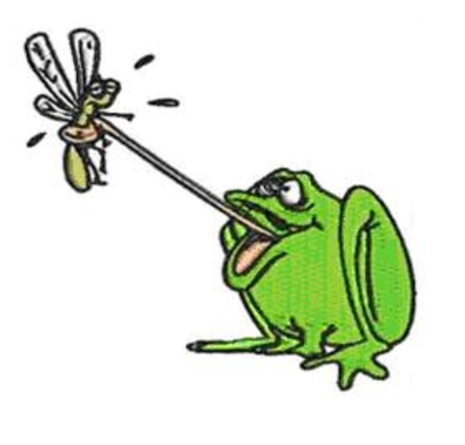frog5