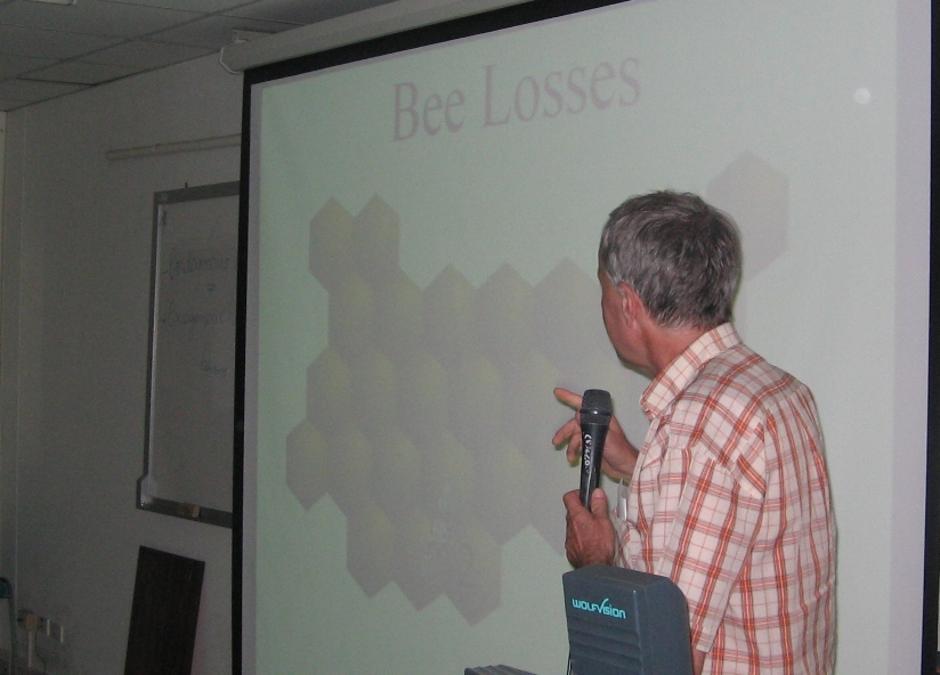 Bee Losses by Gilles RATIA
