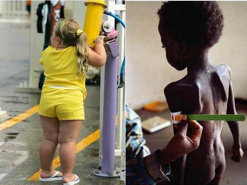 fat and thin