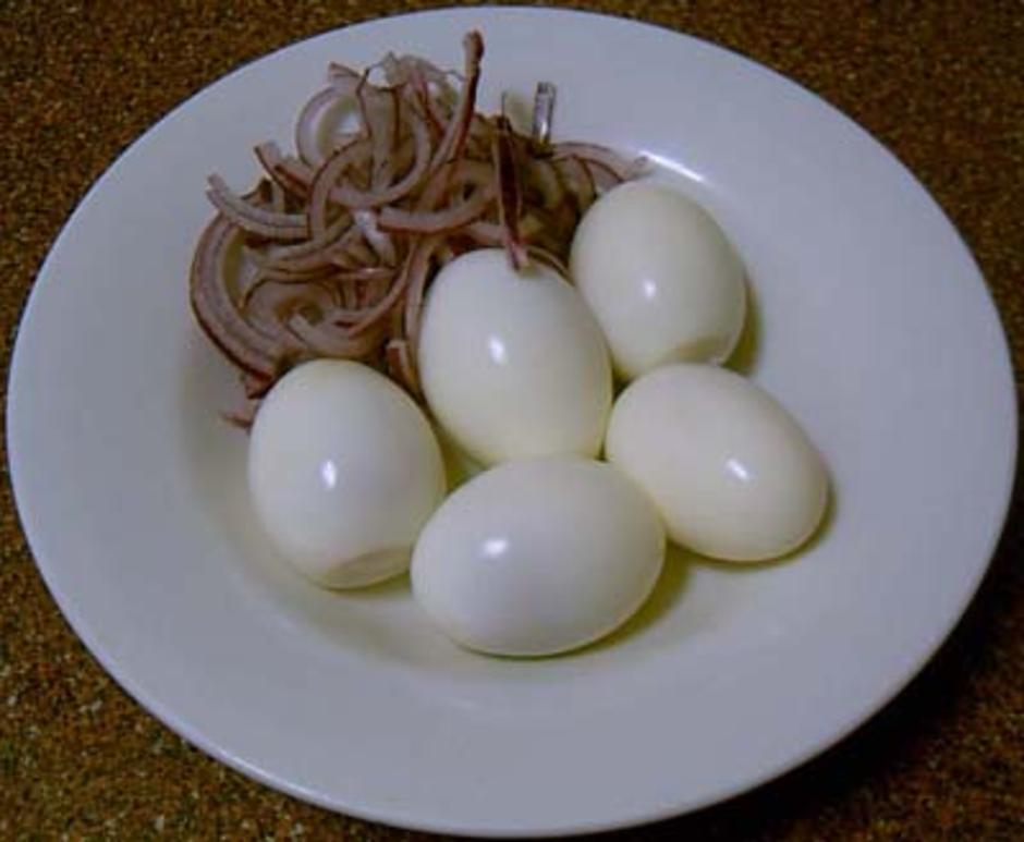 egg