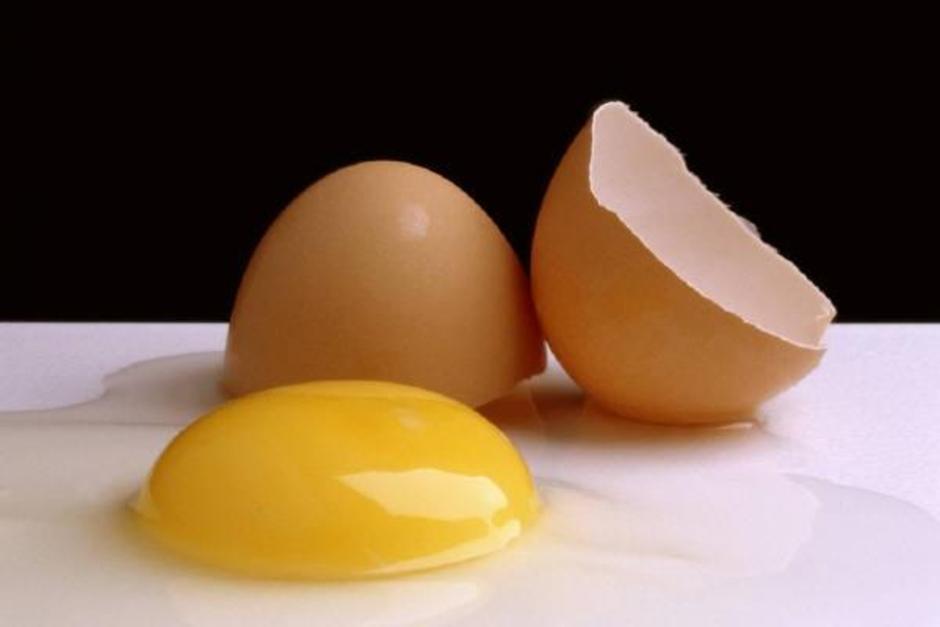 egg