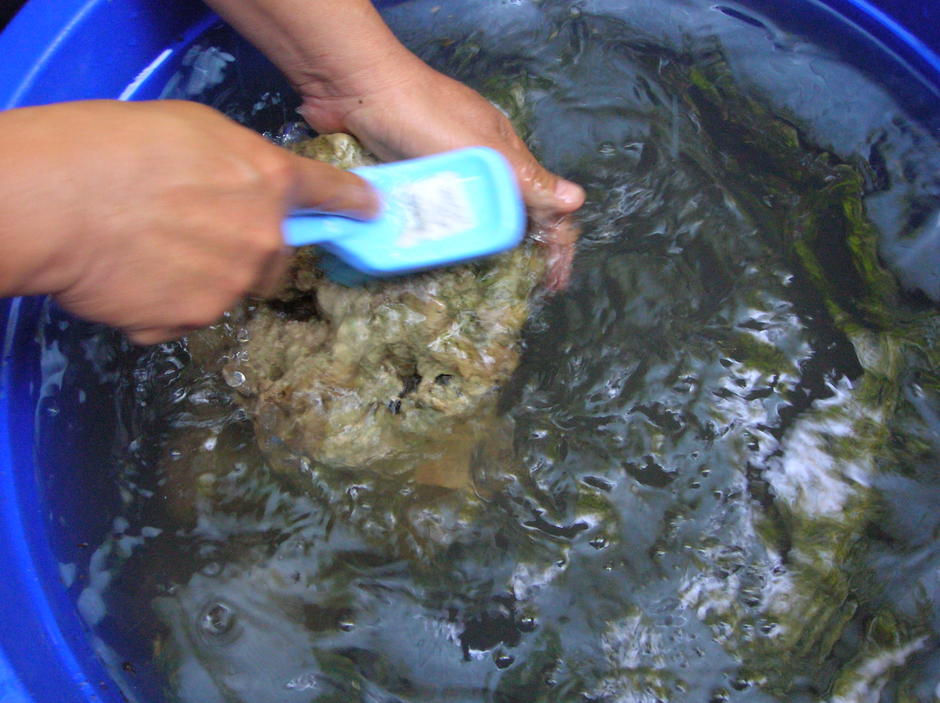 wash