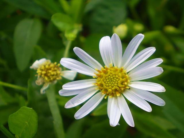 Large_p20304100