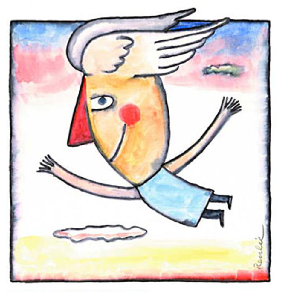 fly