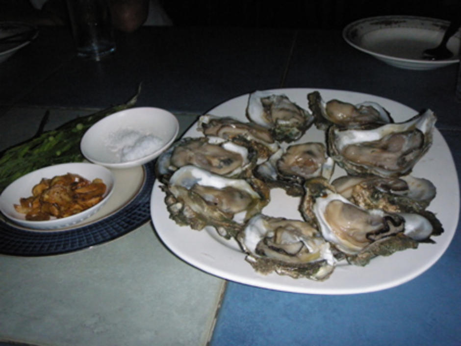 shell