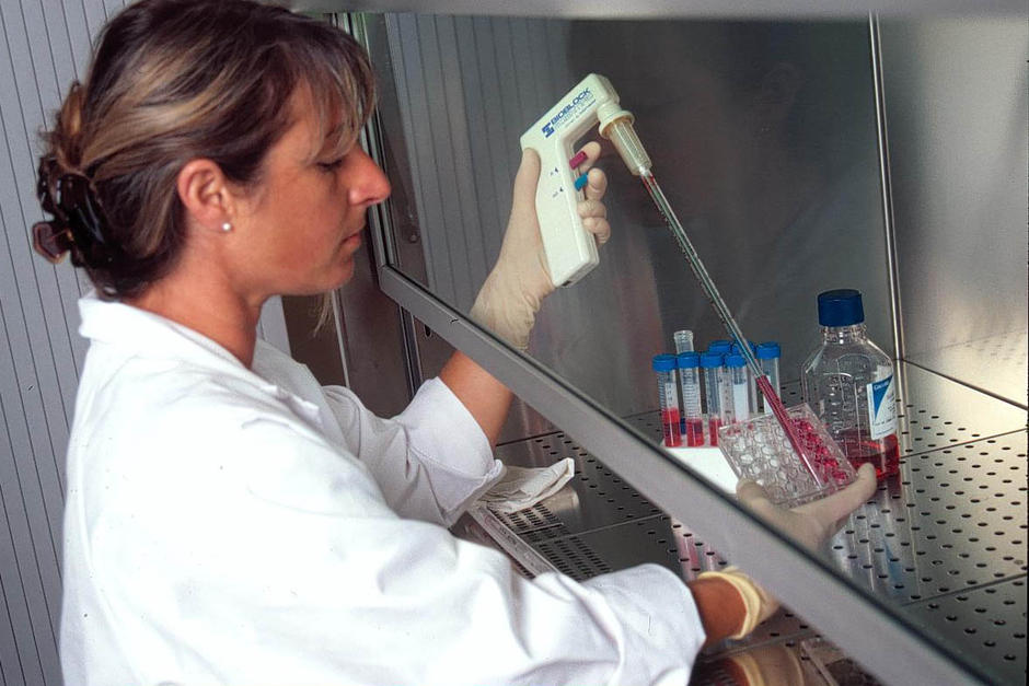 pipette