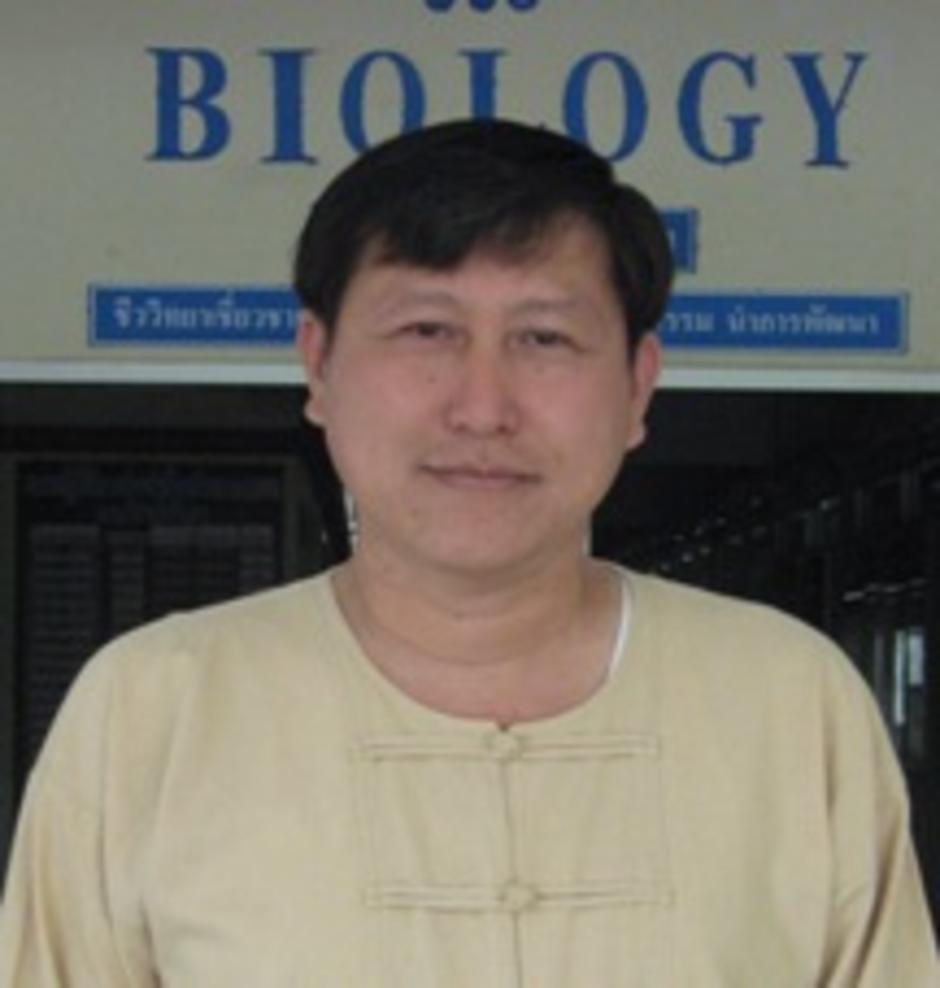เสื้อชาวเหนือ