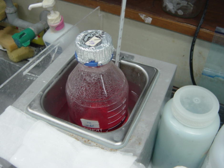 cell_fluid