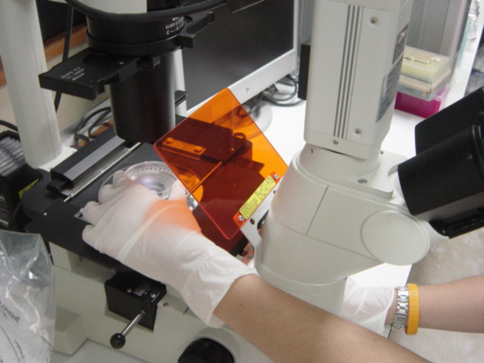 microscope
