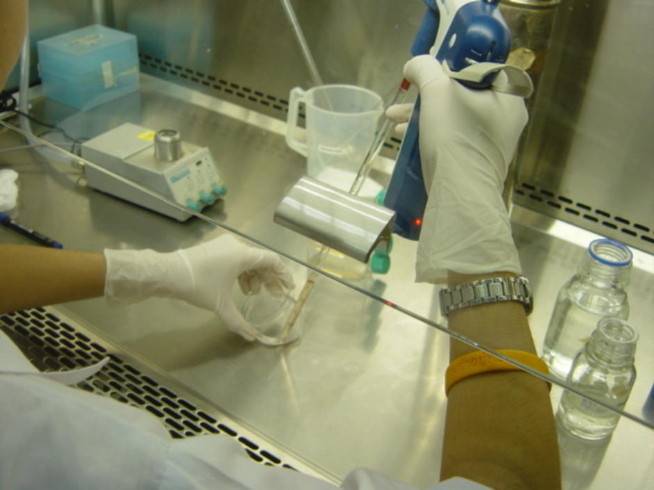 lab