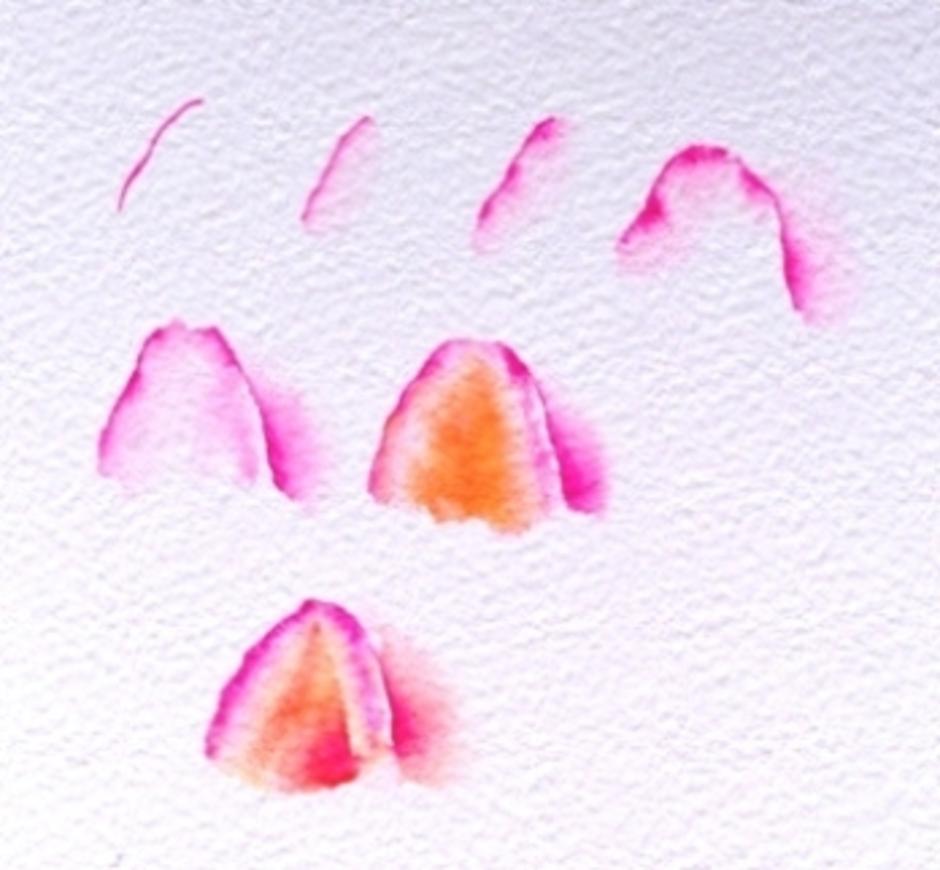 RosePetalPaint