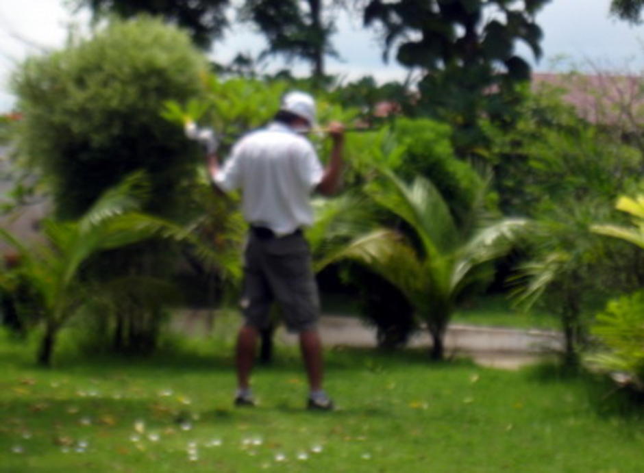 a holiday golf