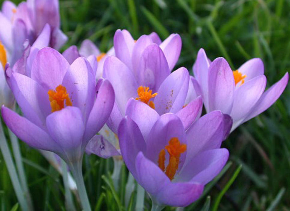 รวม 10 เว็บตรงแจก โค้ดเครดิตฟรี กดรับเอง ไม่ต้องฝากก่อน 2024