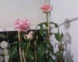 Photo-0085