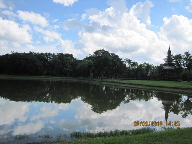 Large_00799