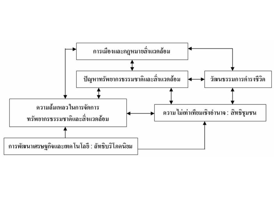 การมองแบบ holistic ecology 