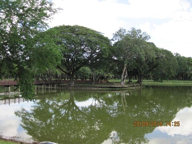Large_a00800