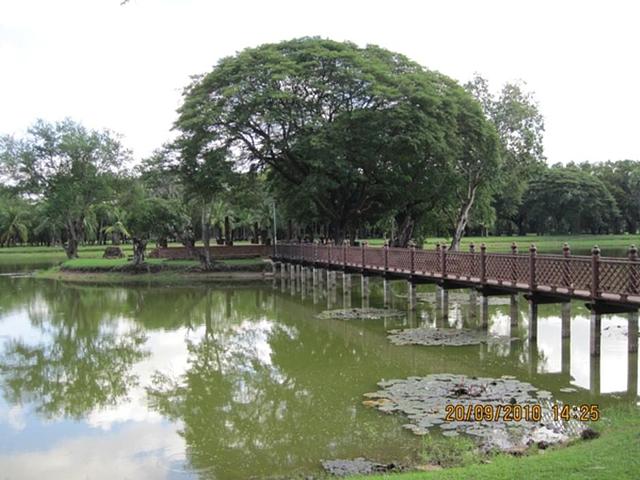 Large_a0801